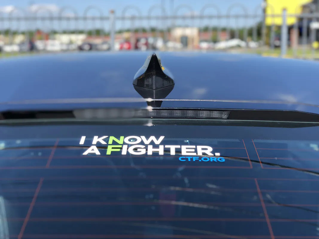 I Know a Fighter Vinyl Decal - image2