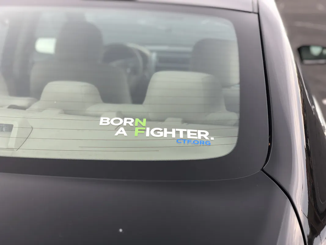 Born A Fighter Vinyl Decal