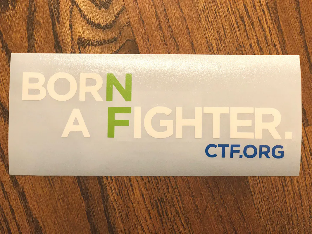 Born A Fighter Vinyl Decal - image4