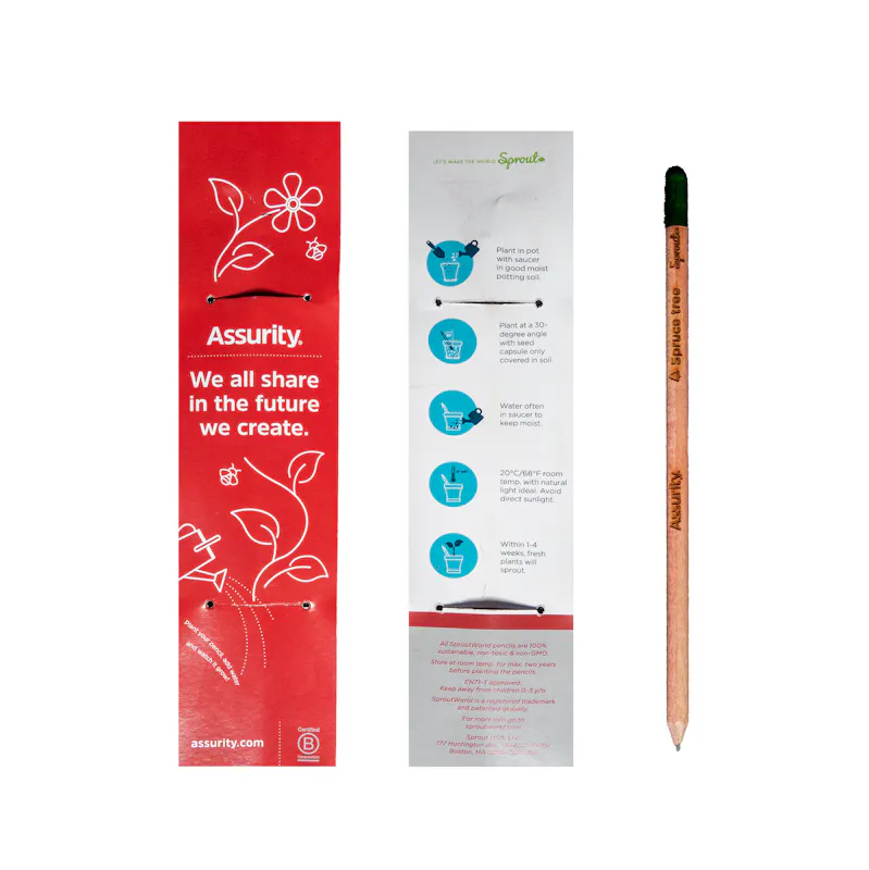 Sprout Pencils - image1