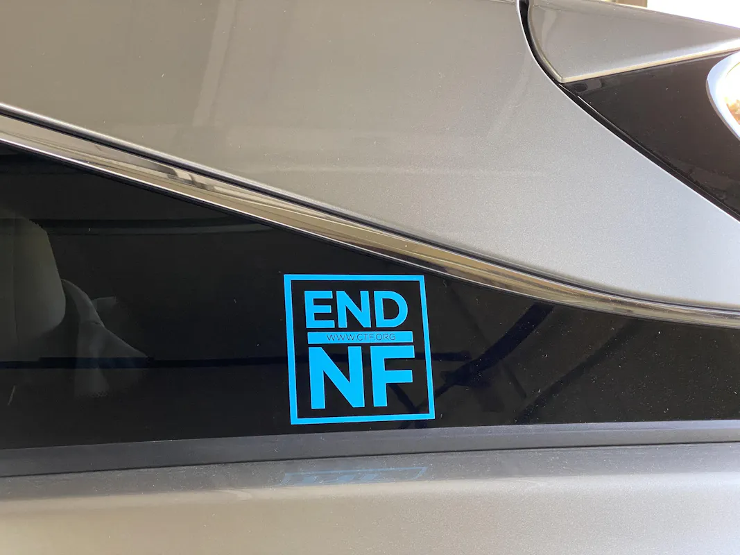 END NF Vinyl Decal - image3