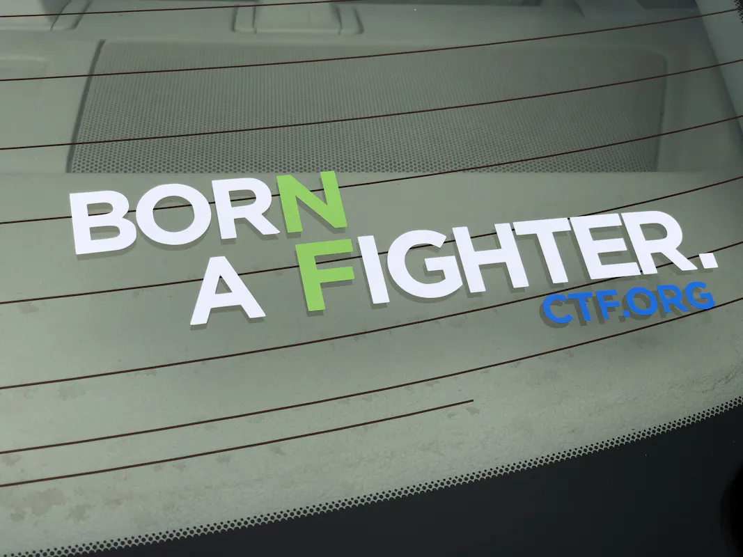 Born A Fighter Vinyl Decal - image3